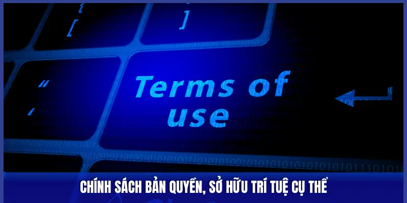 CHÍNH SÁCH BẢN QUYỀN, SỞ HỮU TRÍ TUỆ CỤ THỂ