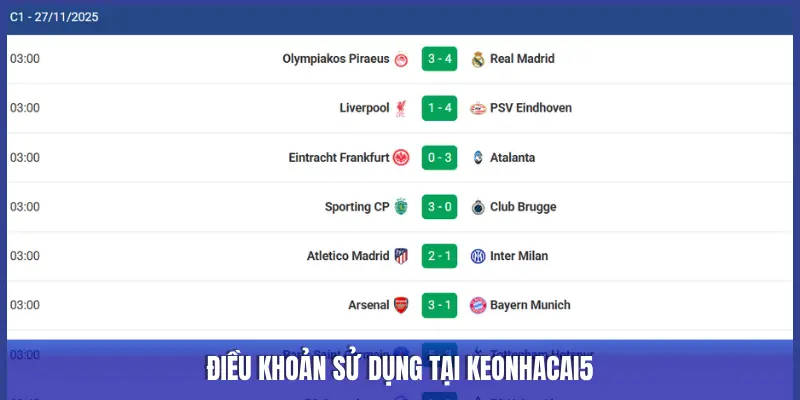 ĐIỀU KHOẢN SỬ DỤNG TẠI KEONHACAI5